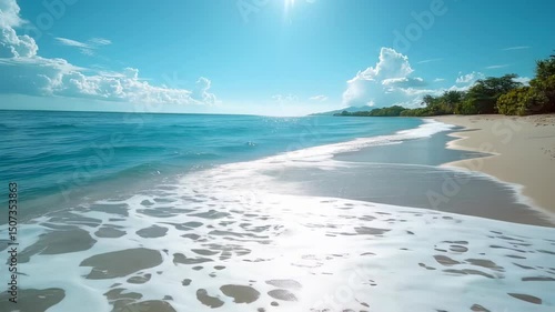 Sunny Tropical Beach Waves.