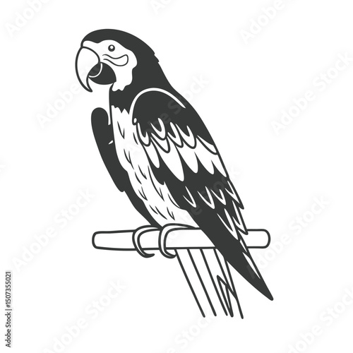 black and white parrot on a branch
