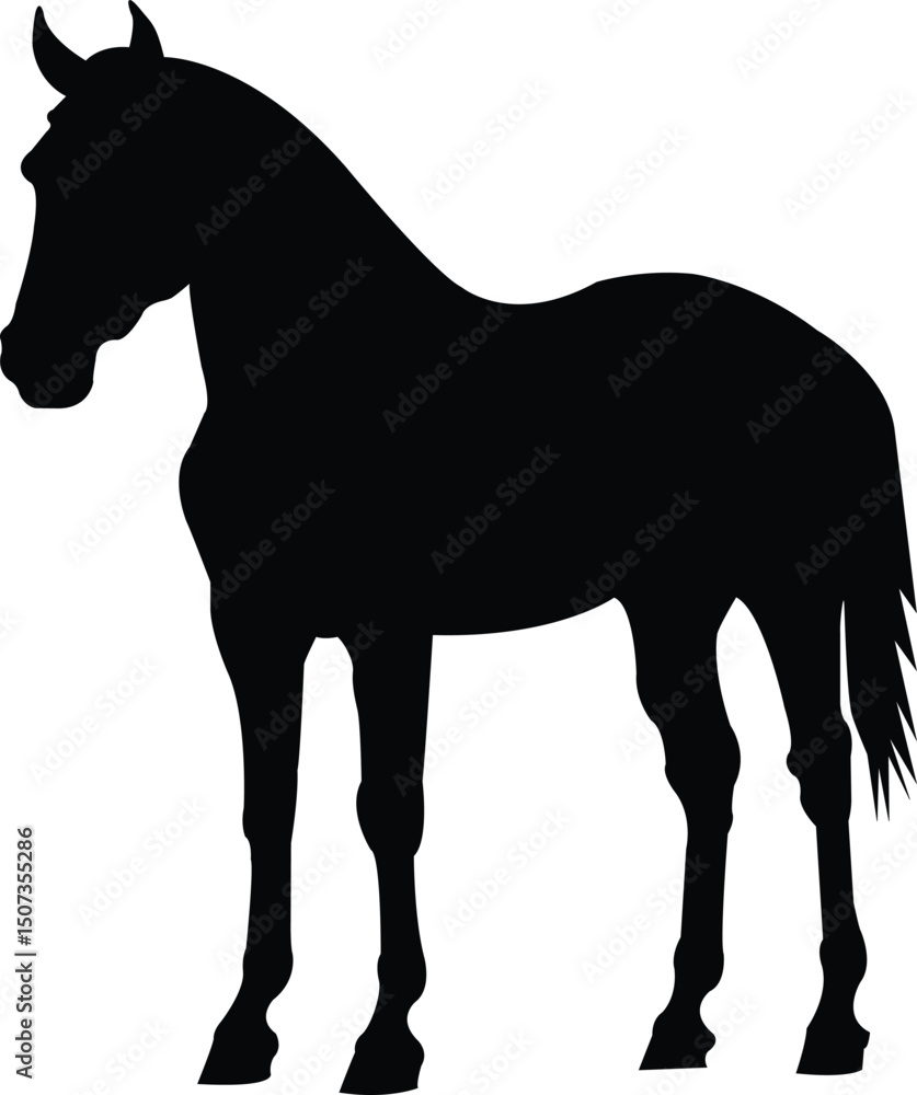 Obraz premium horse silhouette vector ilustration