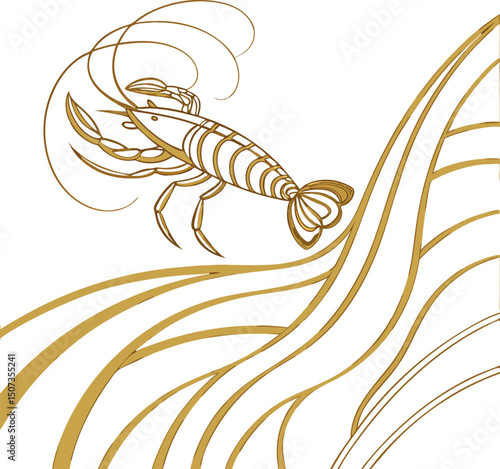 vector illustration of shrimp