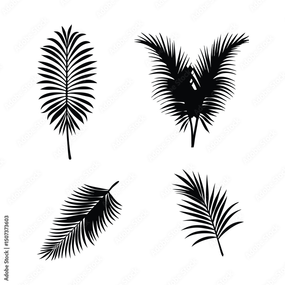 Obraz premium palm leaves symbol, black and white palm tree leaf silhouette illustration.