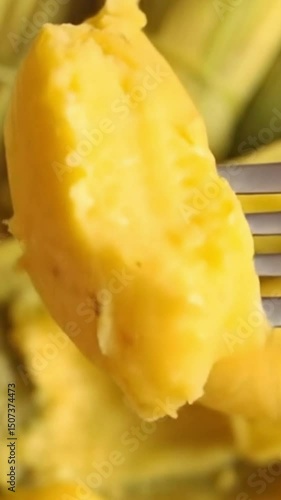 Mobile Video of a fork picking up a piece of pamonha, a Brazilian dessert made from corn, typical of June festivals