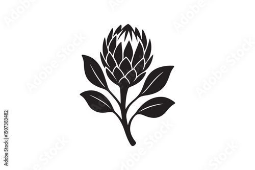 Protea flower silhouette vector art illustration on white background