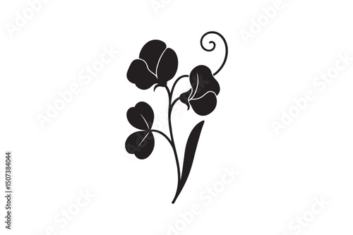 Sweet Pea flower silhouette vector art illustration on white background