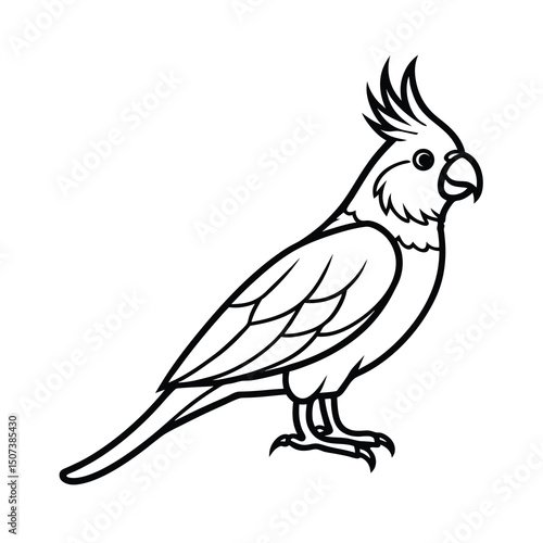 cockatiel outline line art