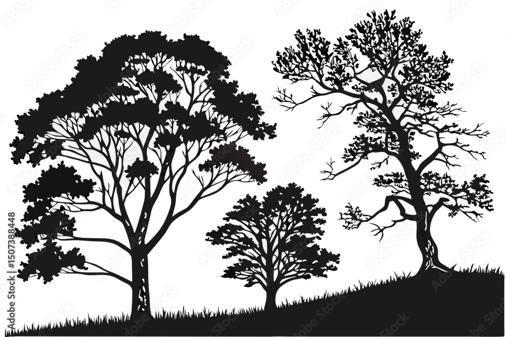 Obraz premium Bloom & Breeze