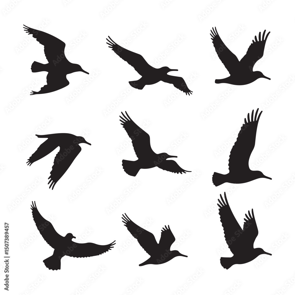 Obraz premium Silhouette of an albatross vector set illustration.