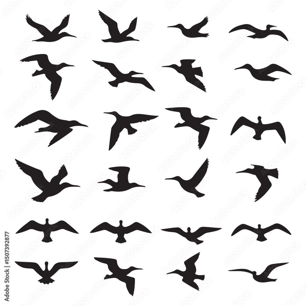 A set of multiform flying seagulls. A set of multiform flying seagulls.