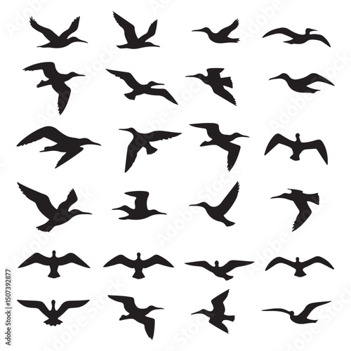 A set of multiform flying seagulls.
