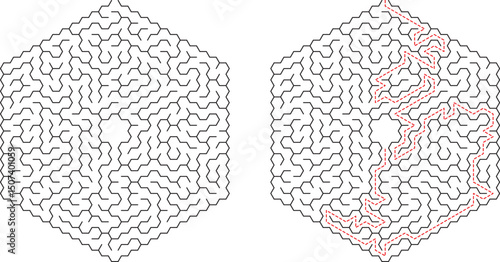 Hexagonal Maze Puzzle Solution Shown, Complex Pathways, Brain Teaser, Logic Game, Problem Solving