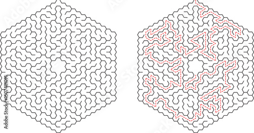 Hexagonal Maze Puzzle Solution, Labyrinth, Game, Brain Teaser, Challenge, Path, Complexity, Strategy