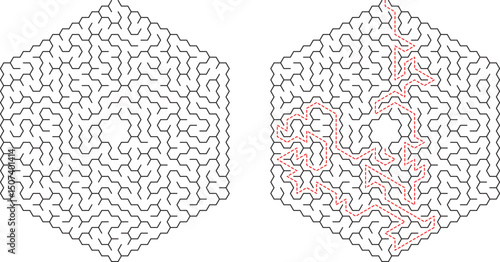 Hexagonal Maze Puzzle Solution Complex Labyrinth Pathfinding Challenge