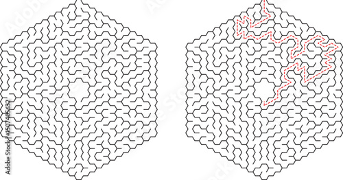 Hexagonal Maze Puzzle Solution Path, Complex Labyrinth, Brain Teaser