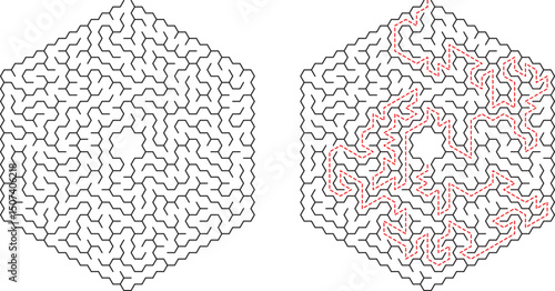 Hexagonal Maze Puzzle Solution Complex Pathfinding Challenge Solved