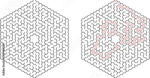 Hexagonal Maze Puzzle Solution Complex Labyrinth Pathfinding Challenge