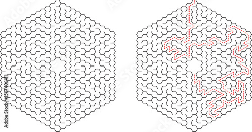 Hexagonal Maze Puzzle Solution Shown, Complex Labyrinth, Brain Teaser