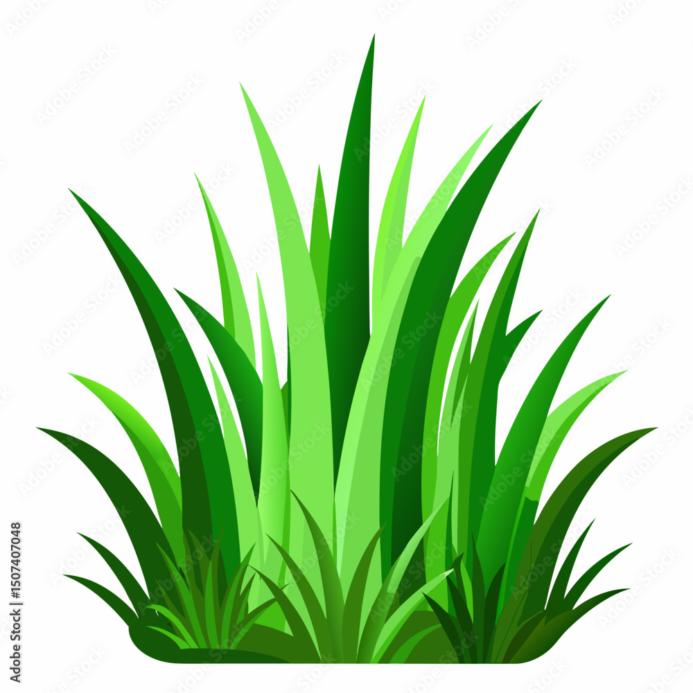 Obraz premium Green grass isolated on white