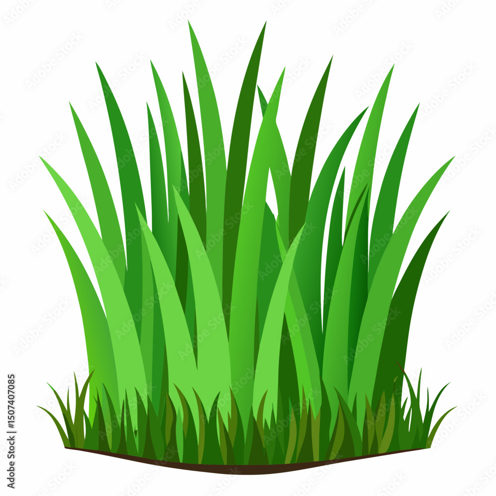 Fototapeta premium Green grass isolated on white 