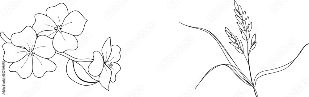 Elegant black and white line art illustration of flowers and wheat grass isolated on white Elegant black and white line art illustration of flowers and wheat grass isolated on white