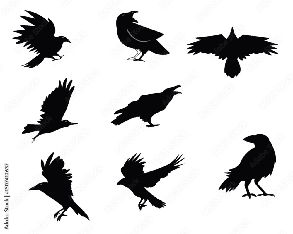 Obraz premium Eight silhouettes of birds in various poses, including some in flight and others perched. The birds are depicted in solid black against a white background.
