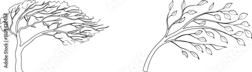 Vector illustration of two trees in black and white representing windy conditions or nature