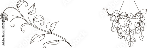 Minimalist black and white botanical line art featuring hanging plants and branches