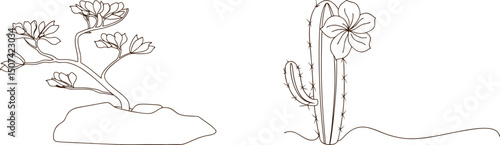 Vector illustration featuring delicate outline drawings of flowering bonsai and a blooming cactus plant.