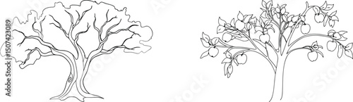 Black and white outline illustrations of two diverse trees against a clean white background