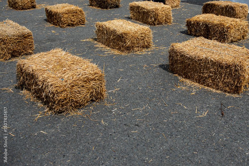 Straw bale installation on city street during street fair