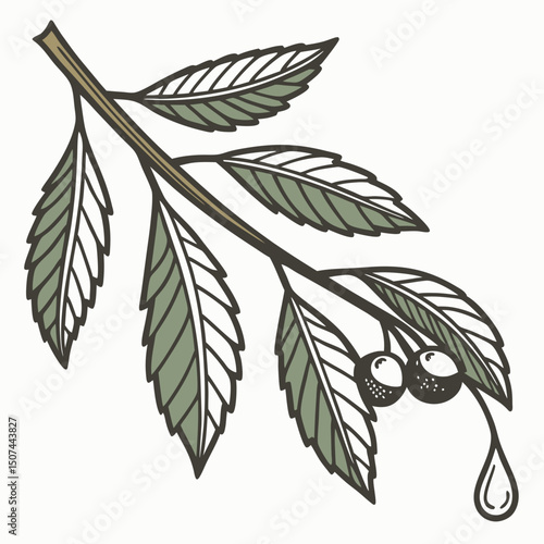 Flat icon of a twig with a dewdrop in clean vector with a natural palette