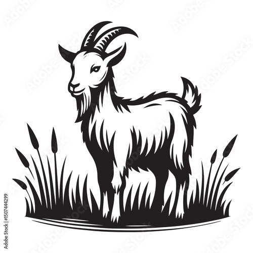 horned goat on the grass vector image