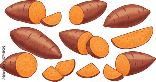 vector set of Baked potato, sweet potato illustration Shizuru, real, photo, autumn 