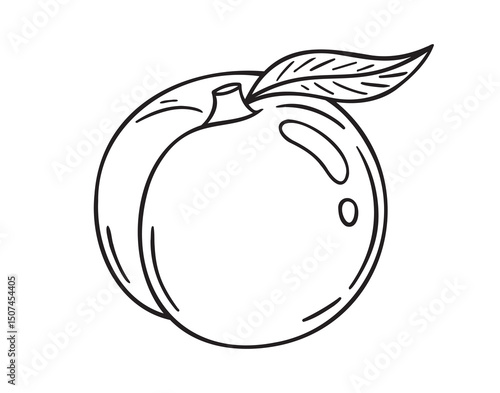peach icon doodle hand drawn. Outline peach line drawing clipart symbol
