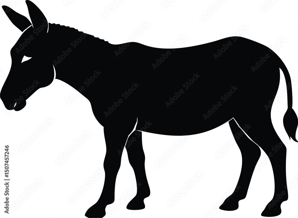 Fototapeta premium silhouette of a horse