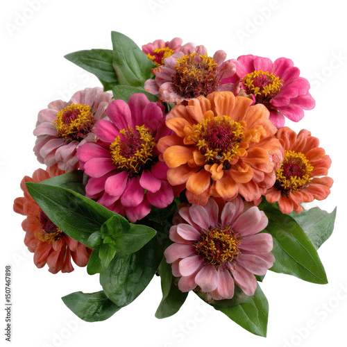 Wallpaper Mural Vibrant zinnia flower bouquet  Torontodigital.ca