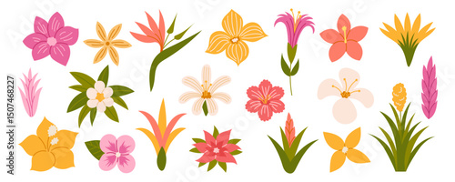 Tropical flowers. Exotic flowers hibiscus, plumeria, bird of paradise, heliconia. Vector illustration.