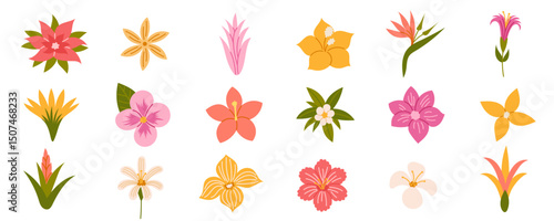 Tropical flowers. Exotic flowers hibiscus, plumeria, bird of paradise, orchid, heliconia and frangipani. Vector illustration.