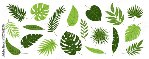 Tropical leaves set. Exotic jungle greenery collection. Monstera, palm, banana, areca, fern and philodendron. Vector illustration.