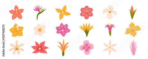 Tropical flowers. Exotic flowers hibiscus, plumeria, bird of paradise, orchid, heliconia. Vector illustration.