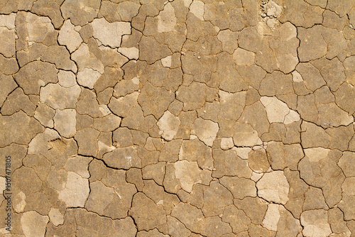 Dry cracked earth