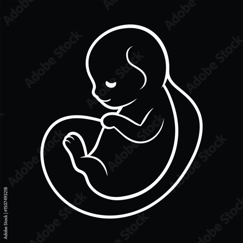 Fetus icon of human child with placenta 