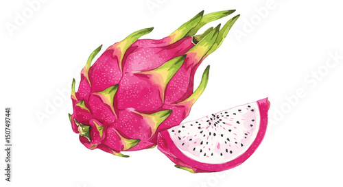 Vibrant Watercolor Illustration Of A Whole Dragon Fruit And A Slice With Vivid Pink And Green Hues On A Clean White Background Showcasing Artistic Finesse