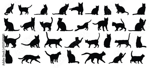 cat silhouette set. cat or kitty isolated farm animal silhouette icon vector collection
