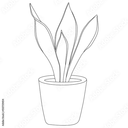 Snake plant line art vector design. Snake plant outline illustration design.