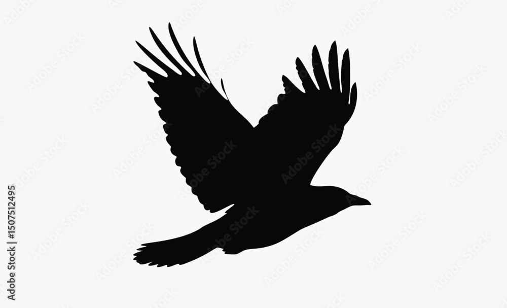 Obraz premium Flying Crow Silhouette Vector
