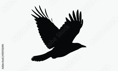 Flying Crow Silhouette Vector