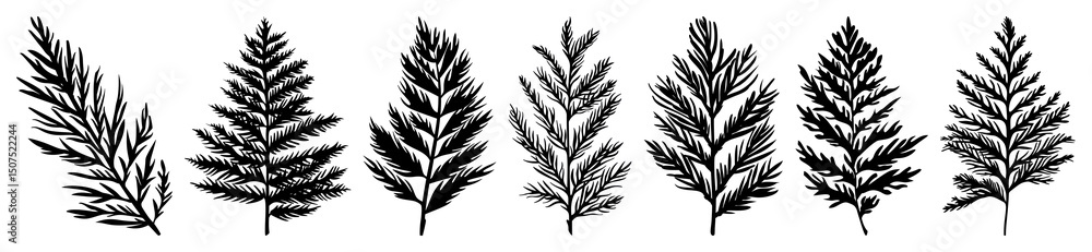 Naklejka premium PNG Silhouetted botanical leaf illustrations, element set on transparent background
