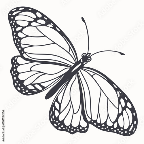 Butterfly With Transparent Wings Vector