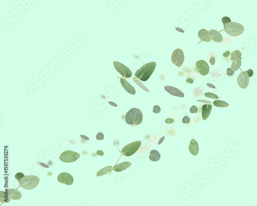 Eucalyptus leaves in air on light turquoise background