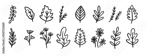 autumn or summer leaves doodle sketch icon set. forest leaf design elements set in vintage retro line style